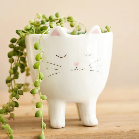 Standing Cat Planter  Lisa Angel - Etsy | Etsy (US)