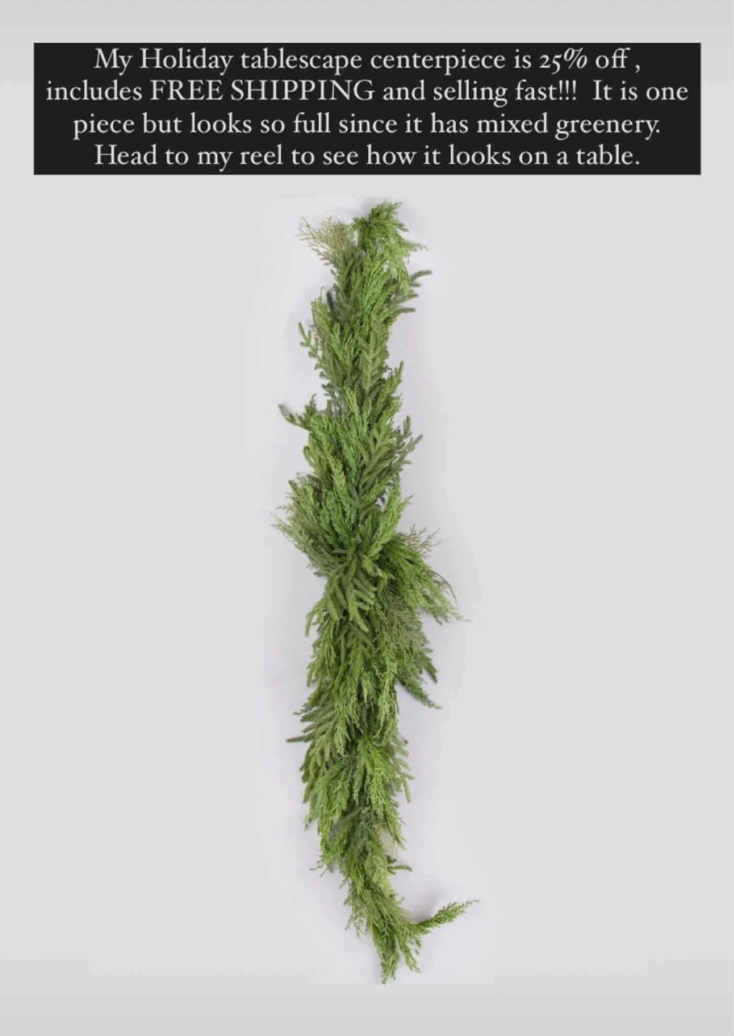 25% OFF AND FREE SHIPPING!!!  Very high sell out risk!!


Afloral, Christmas holiday greenery garland, tablescape, party setting

#LTKCyberWeek #LTKsalealert #LTKHoliday