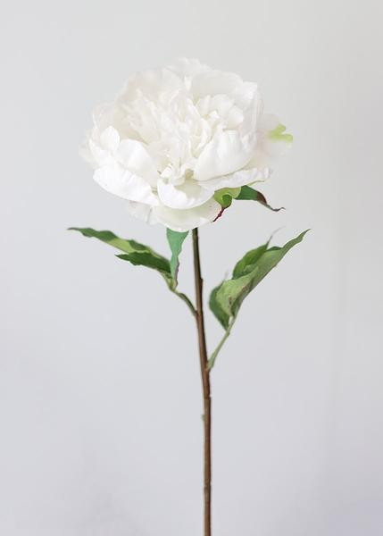 Natural Touch Peony Stem in Cream - 30" Tall | Afloral (US)