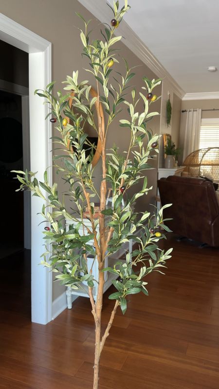 This faux olive tree from Walmart is so realistic and such a great price! It does just come in the little black pot so you have to put it in your own planter or basket. I have the 6 foot option but it comes in a few sizes. 

#LTKsalealert #LTKhome #LTKVideo