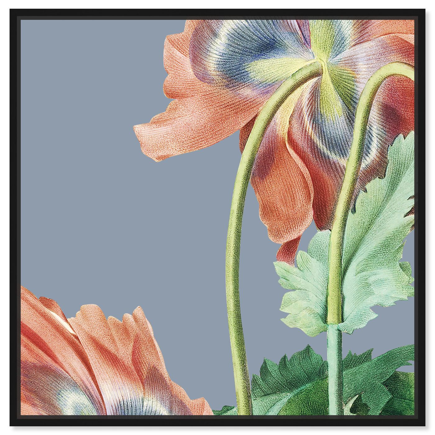 Flower I | Floral and Botanical Wall Art by The Oliver Gal | Oliver Gal