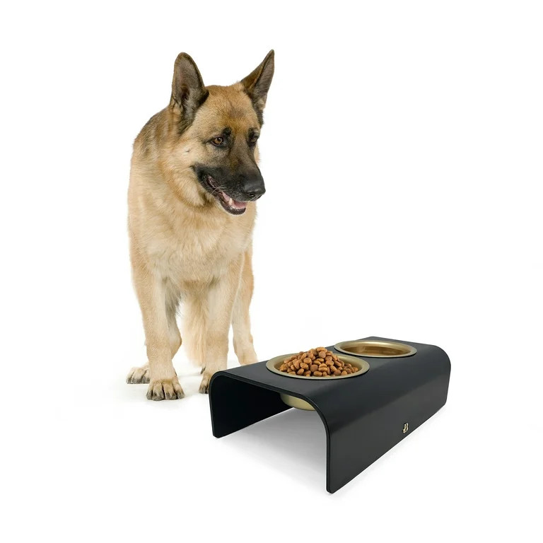 Beautiful Double Elevated Stainless Steel Pet Bowl, 4-Cup, Black by Drew Barrymore | Walmart (US)