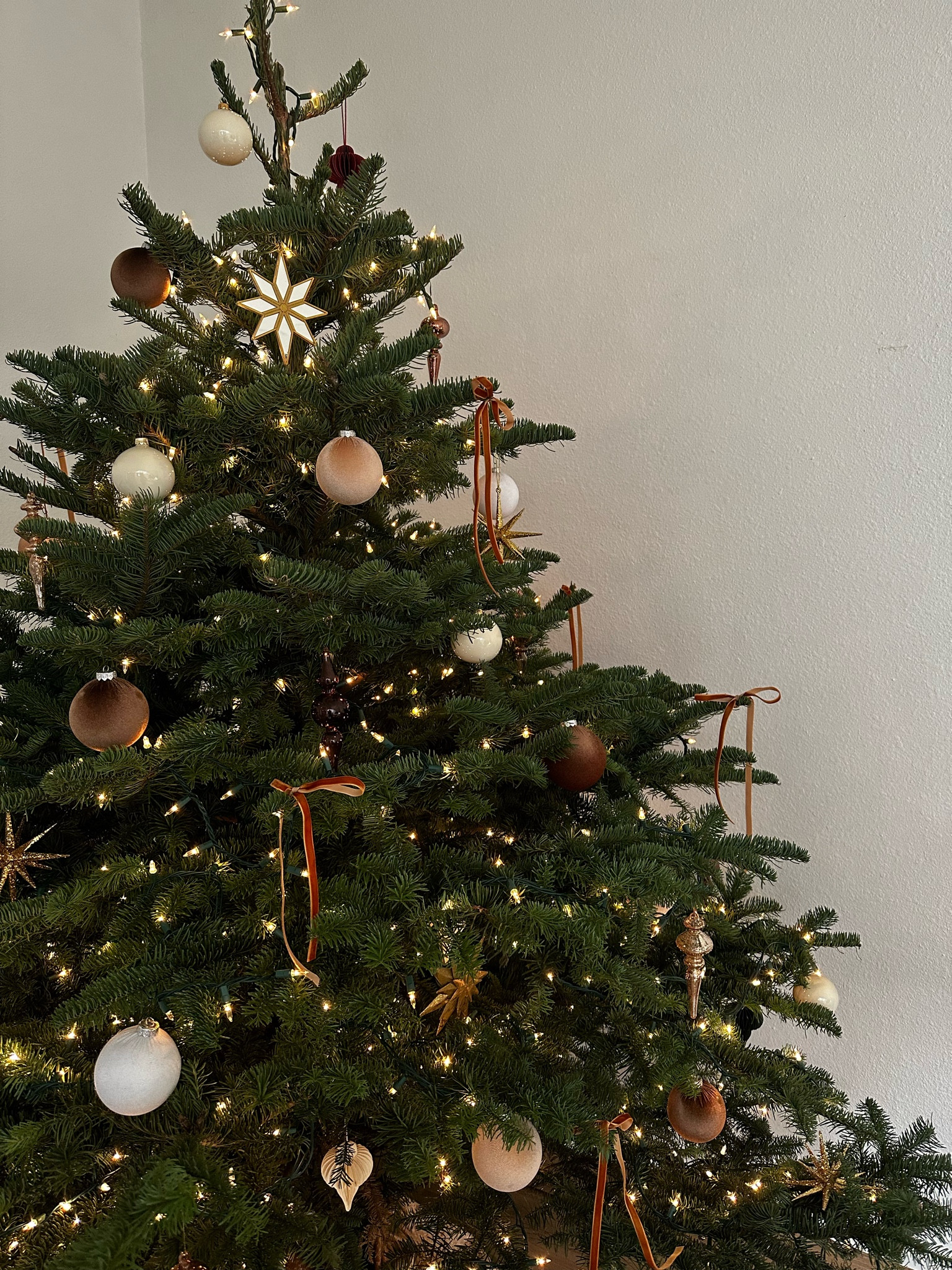 Christmas tree ornaments and velvet bows 🎄✨

#LTKHoliday #LTKSeasonal