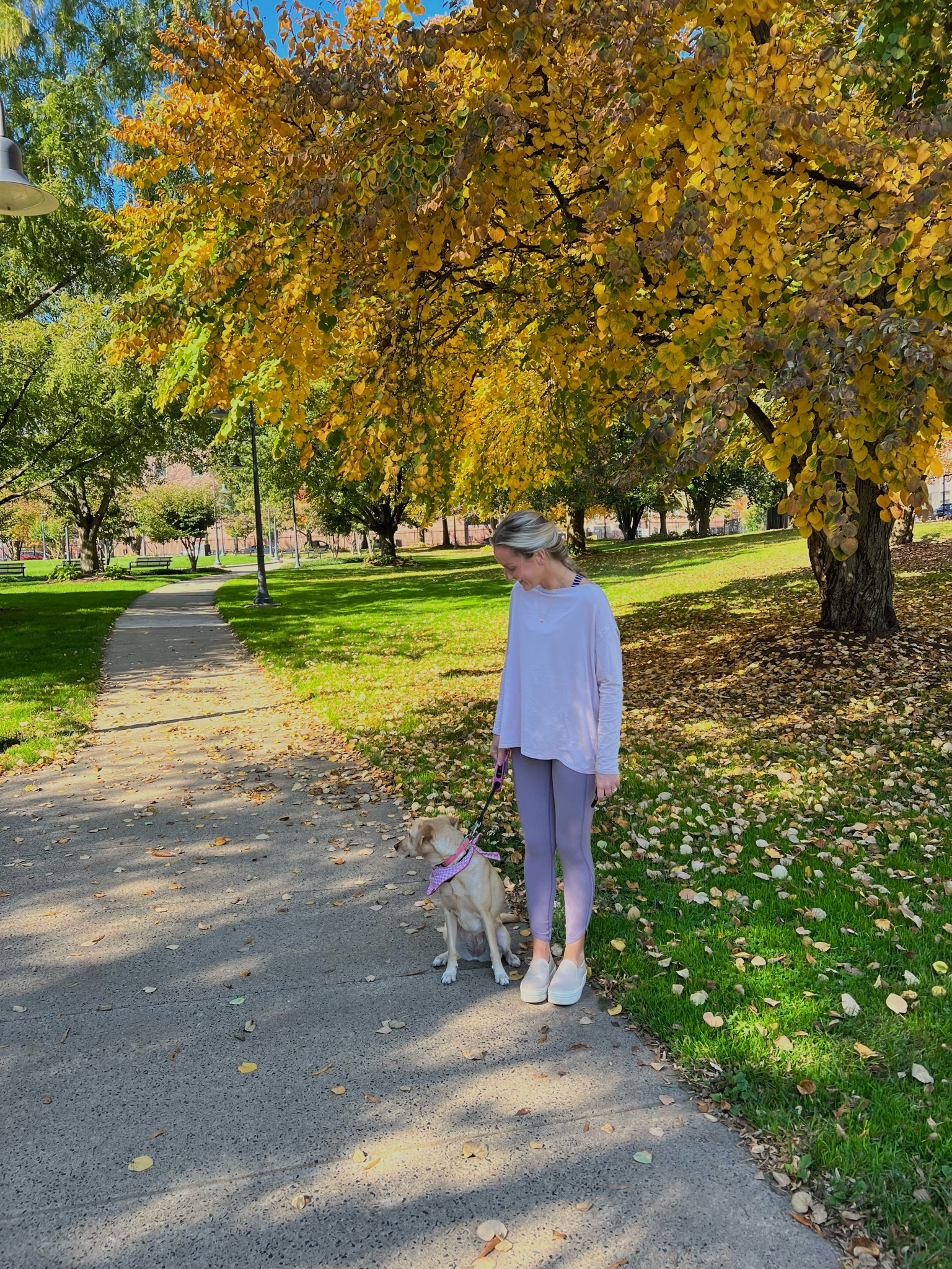 things i’m shopping this weekend💕💕#LTKHalloween 

#LTKhome #LTKfindsunder100