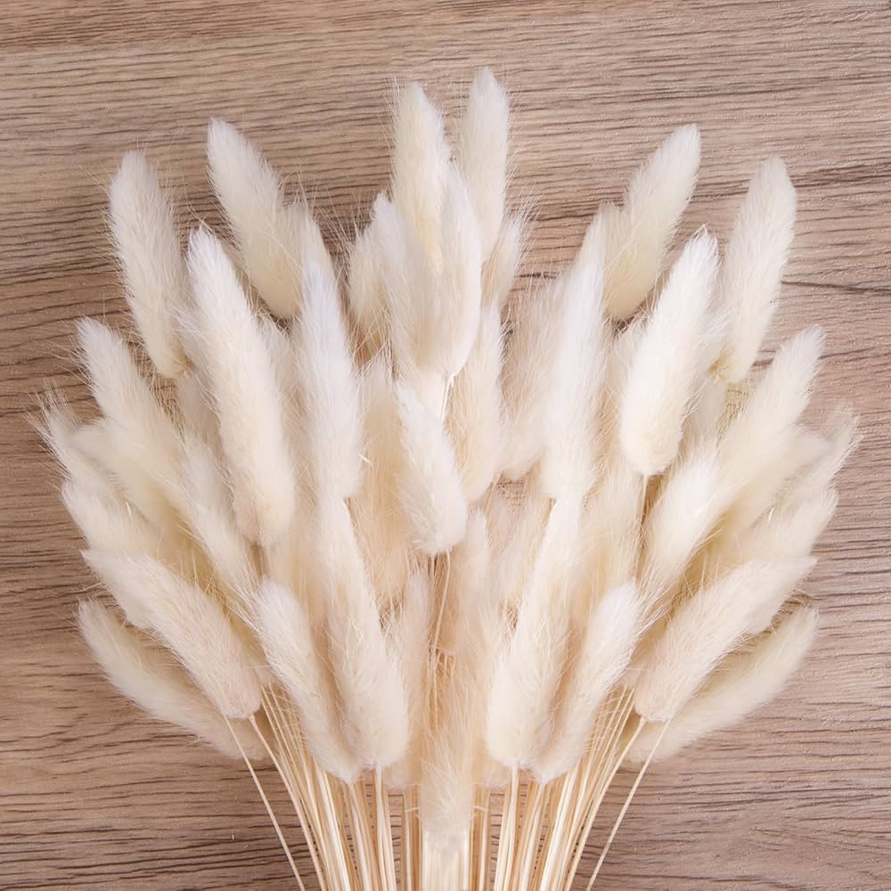 JOHOUSE 120PCS White Bunny Tails Dried Flowers, 17inch Dried Pampas Grass Decor, Bunny Tails Hand... | Amazon (US)