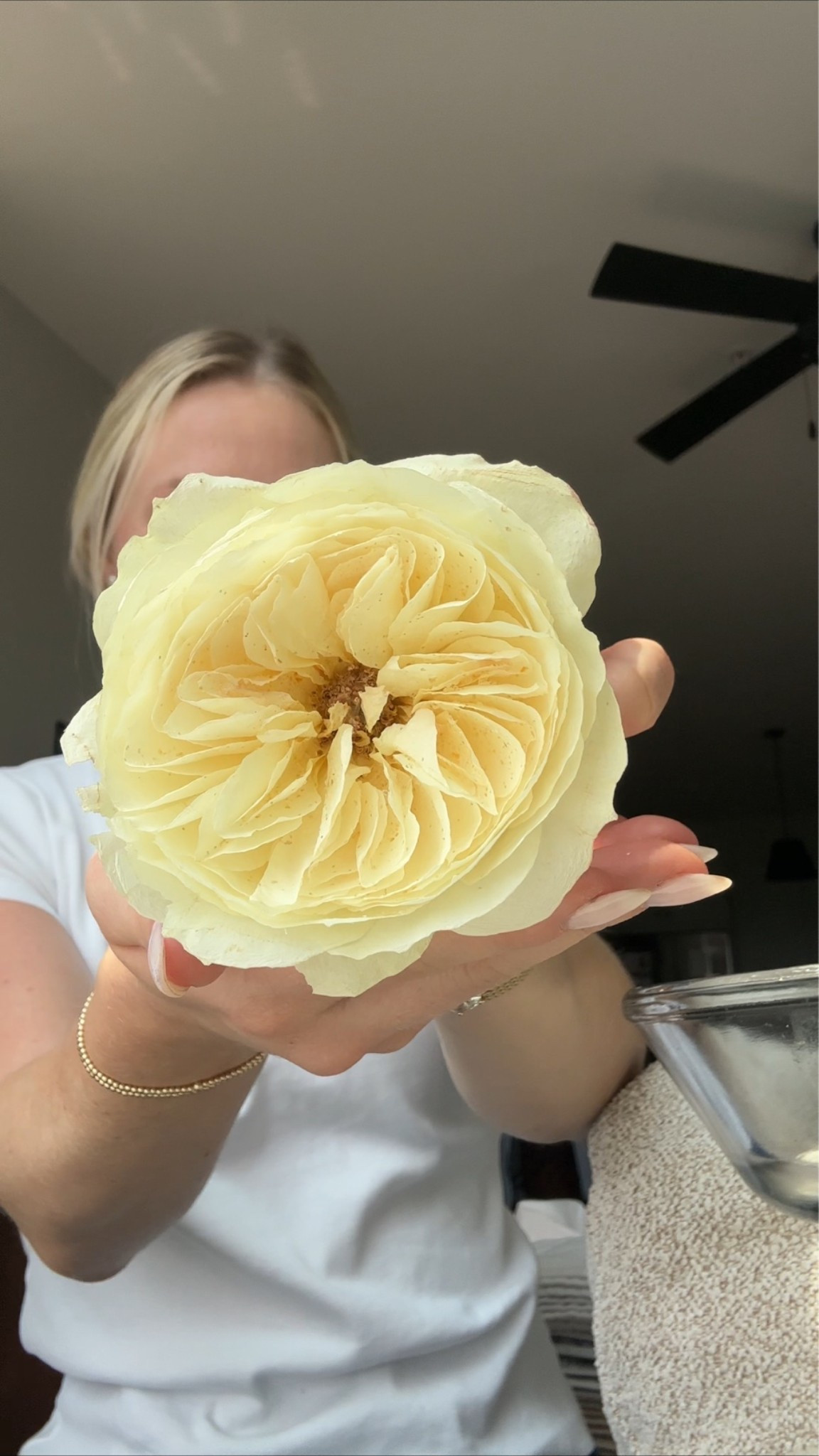 Everything I used to preserve my wedding flowers!! So easy and they turned out so beautiful!

#LTKSeasonal #LTKHome #LTKWedding