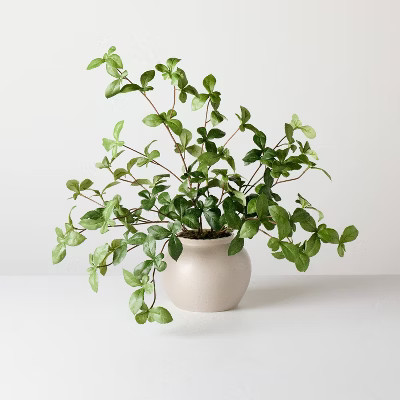 Large Green Gypsophila Artificial Plant - Hearth & Hand™ with Magnolia | Target