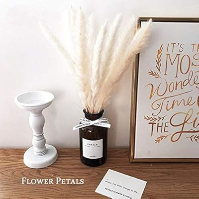 Beau Jour 45cm Natural Dried Pampas Grass 30pcs for Flower Arrangements Home Decor (White) | Amazon (US)