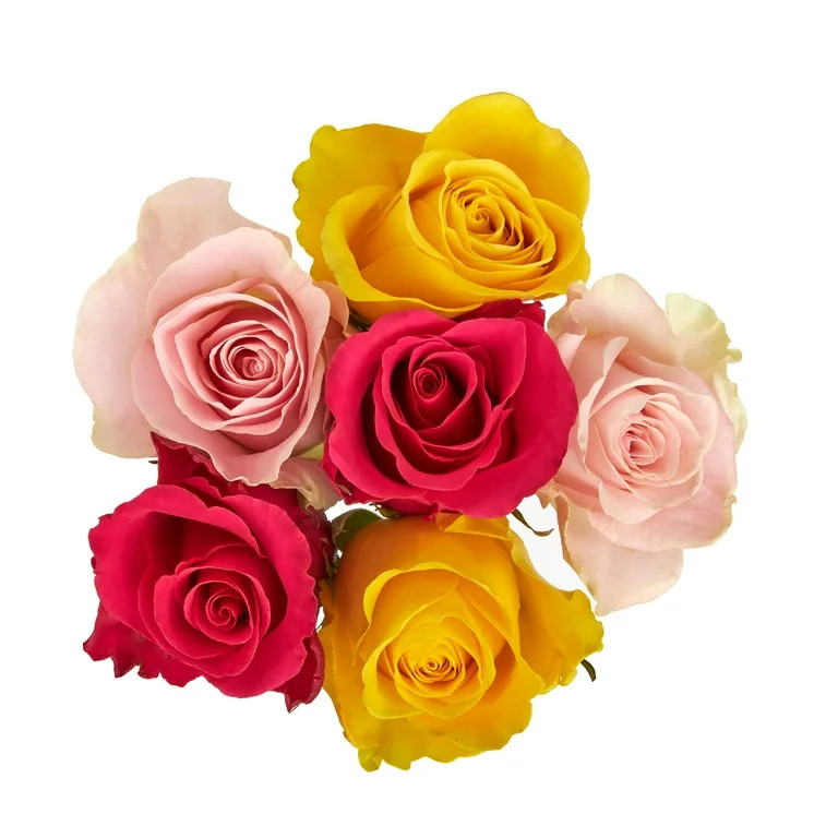 Fresh-Cut 6 Stem Roses Flower Bunch, 6 Stems, Colors Vary | Walmart (US)