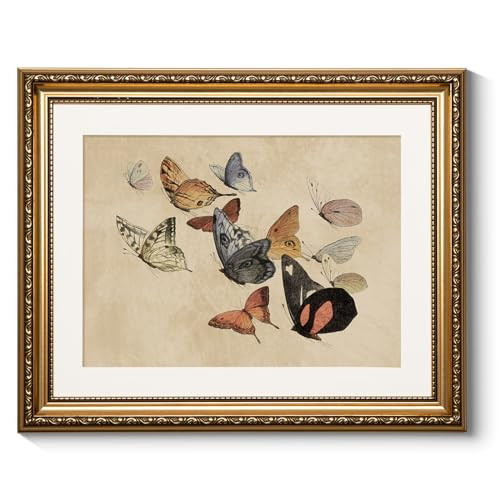 ARPEOTCY Vintage Gold Framed Wall Art, Classical Flying Butterflies Paintings, Canvas Prints Artwork with Antique Frame, Victorian Wall Pictures Decor for Living Room Gallery Bedroom, 13x16 inch | Amazon (US)