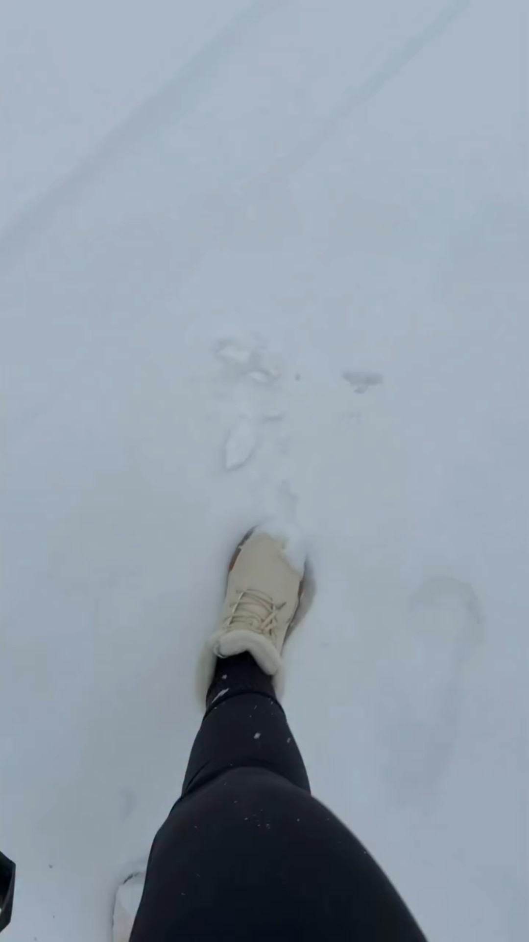 Okay but where are we at with Christmas shopping?! I’m waiting on one more gift in the mail and then I’m done 🙏🏻 #Vlogmas