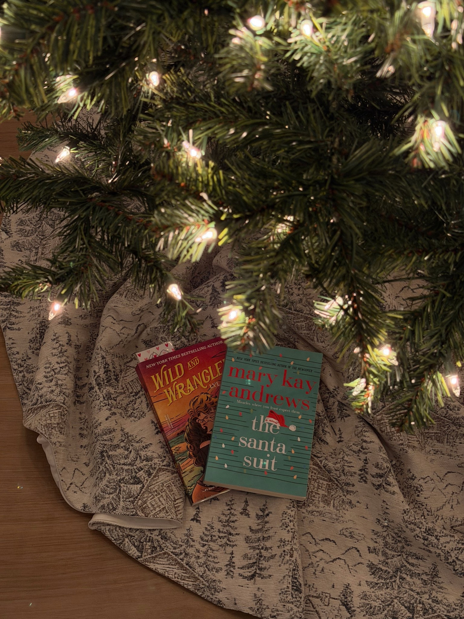 Christmas gift ideas for the book reader 

#LTKHoliday #LTKGiftGuide