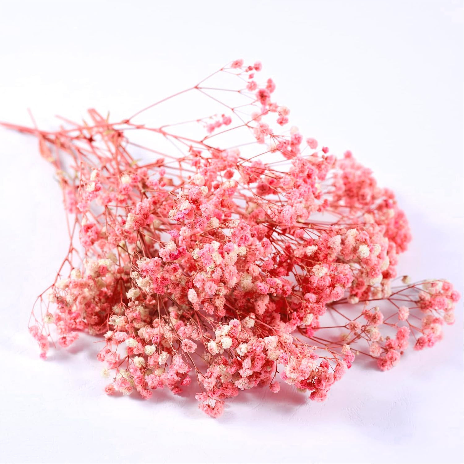 Trockenblumen - Schleierkraut Getrocknet, Trockenblumen Zum Basteln, Getrocknete Blumen Deko - Ge... | Amazon (DE)