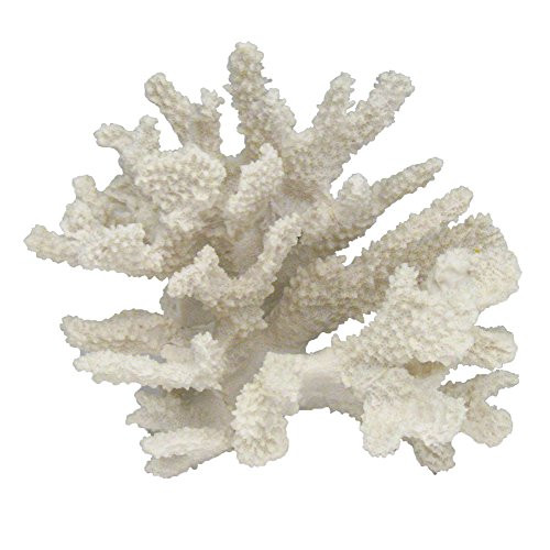 Resin White Coral Centerpiece, Size Small | Amazon (US)