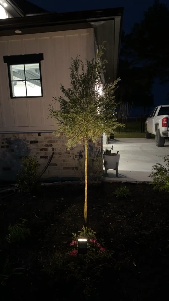 Solar up lights from Amazon in warm white. Solar disc lights for small plants. Solar landscape lights. 

#LTKFind #LTKhome #LTKSeasonal