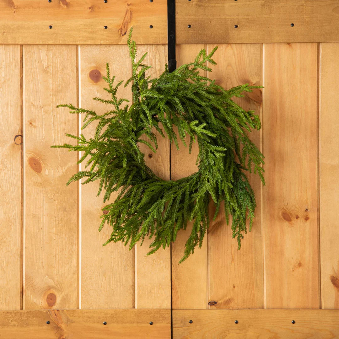 Norfolk Collection - Real Touch Norfolk Pine Front Door Christmas Holiday Winter Wreath - 2 Size ... | Darby Creek Trading