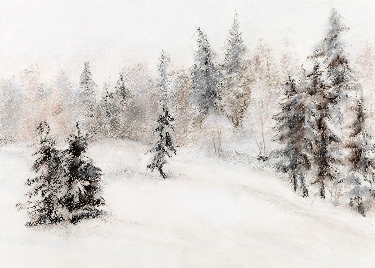 Frosted Forest | Collection Prints