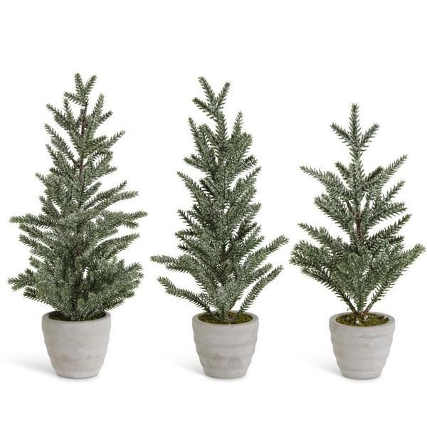 Maple Snowy Pine Trees in Cement Pots, Set of 3 | Scout & Nimble