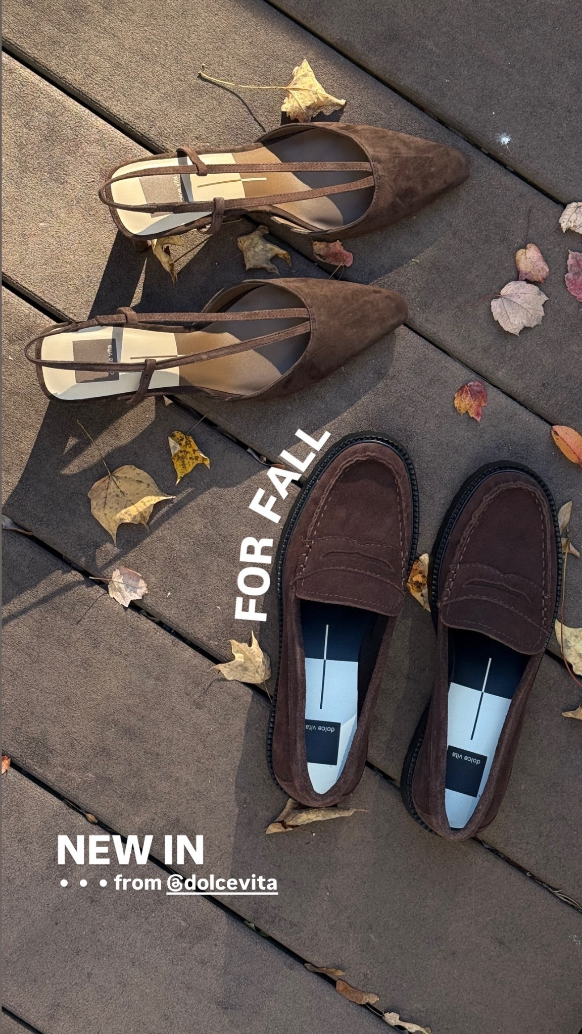 New shoes for fall 🍂 chocolate suede!!

#LTKShoeCrush #LTKSeasonal