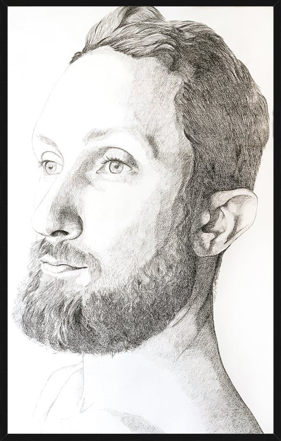 The Fog in The Trees | Artfully Walls