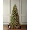 Home Decorators Collection 12 ft SMART Grand Duchess Twinkling Balsam Fir LED Pre-Lit Tree T39 26LE31016 | The Home Depot