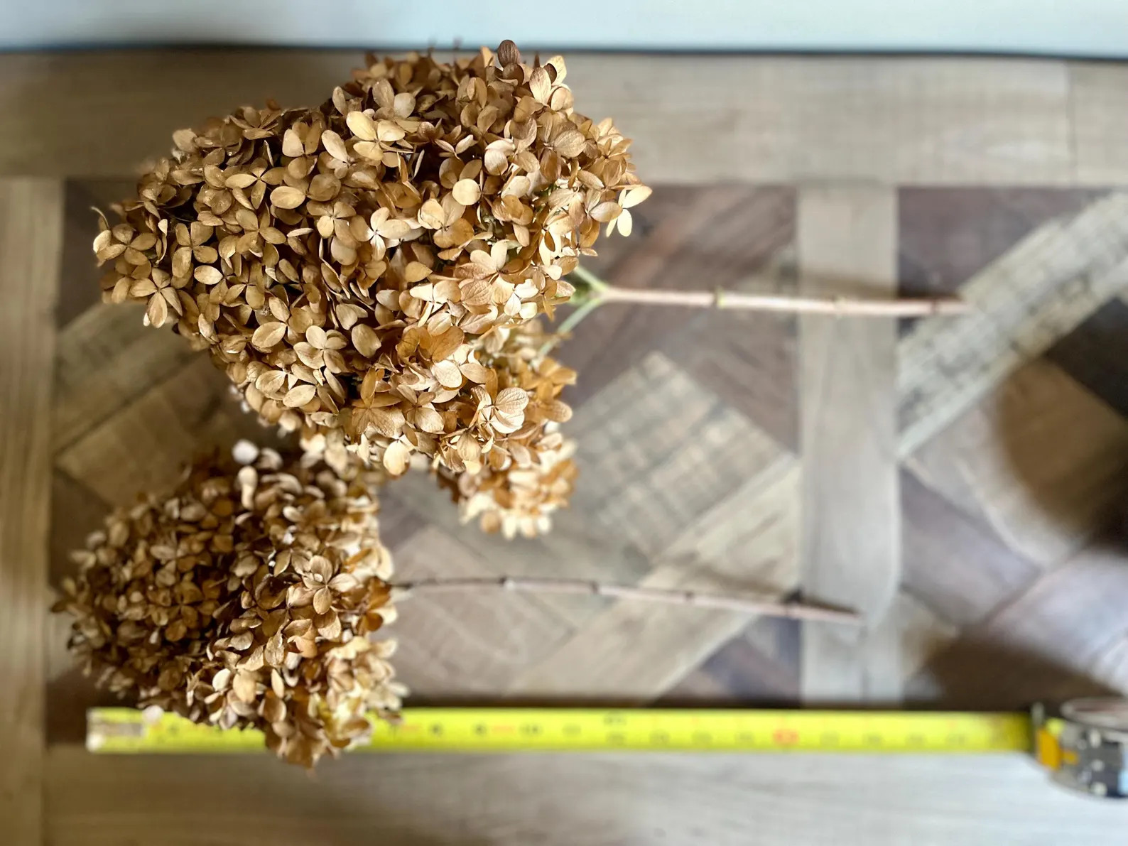 Dried Limelight Hydrangea Blooms | Natural Green-Cream-Pink Florals for Crafts, Weddings & Home D... | Etsy (Global)
