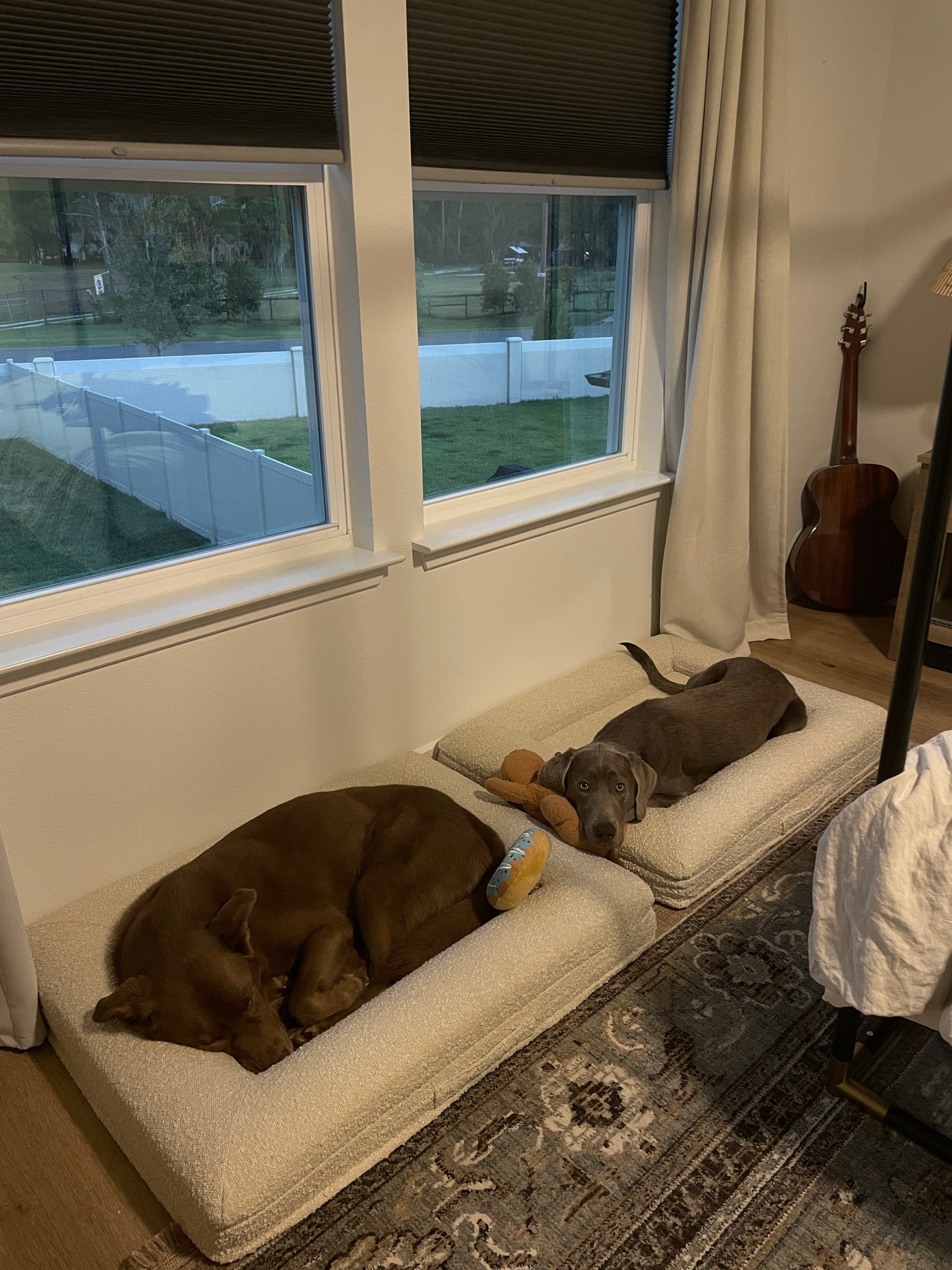 Our girls love their stylish comfy dog beds 🤍 Boucle and all! 

#LTKstyletip #LTKhome