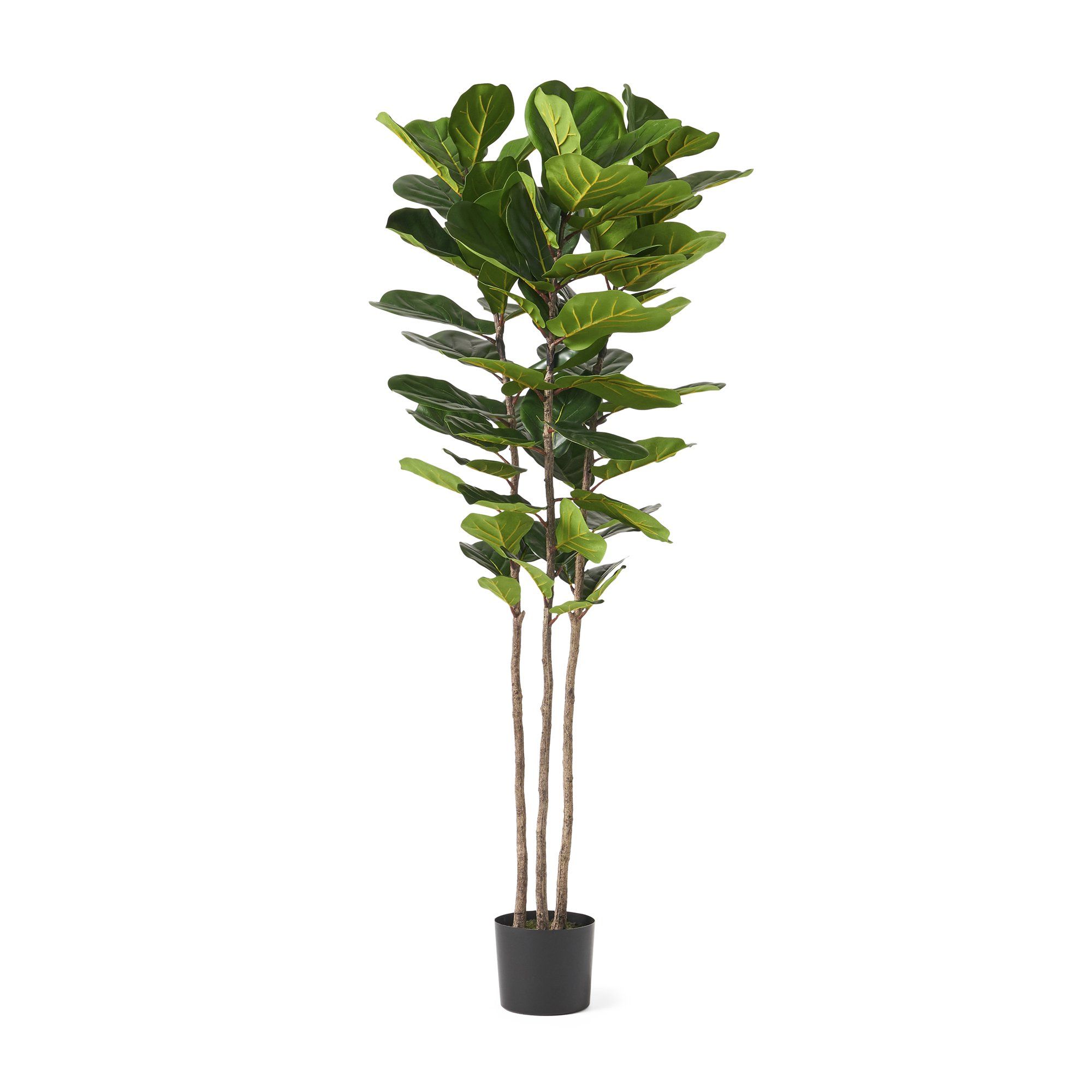 Socorro 6' x 2' Artificial Tabletop Fiddle-Leaf Fig Tree, Green | Walmart (US)