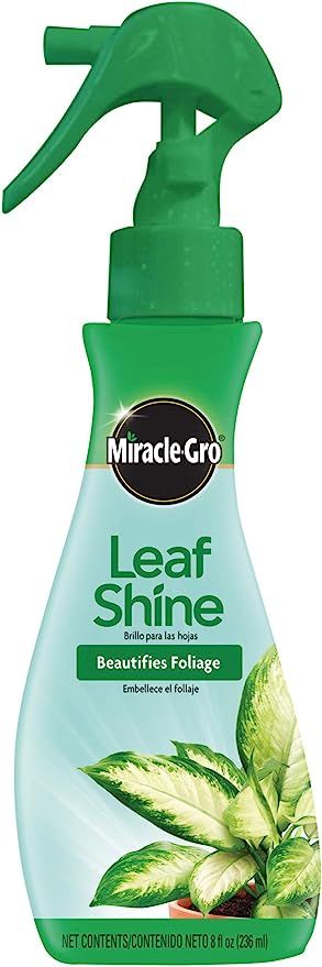 Miracle-Gro 100720 Leaf Shine, 8-Ounce, 8 oz | Amazon (US)