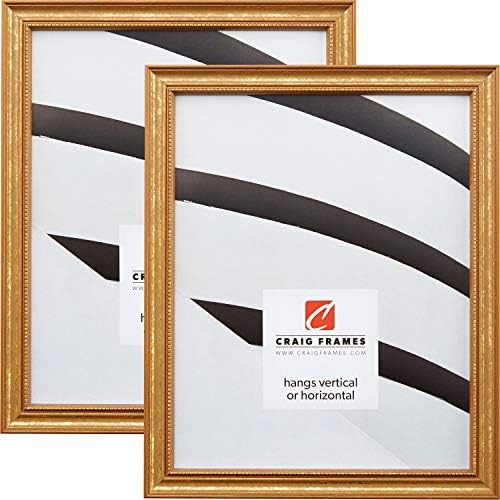 Craig Frames 314GD 12 x 16 Inch Picture Frame, Ornate Gold, Set of 2 | Amazon (US)