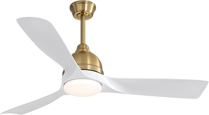 54" Ceiling Fan with Lights Remote Control, Outdoor Ceiling Fan Smart Ceiling Fan, 3 ABS Blades R... | Amazon (US)