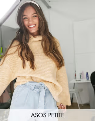 ASOS DESIGN Petite fluffy roll-neck longline sweater | ASOS (Global)