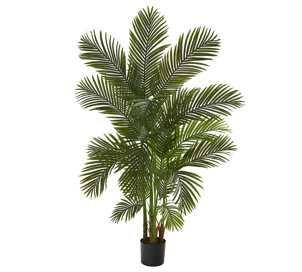 Faux Areca Palm Trees | Pottery Barn (US)