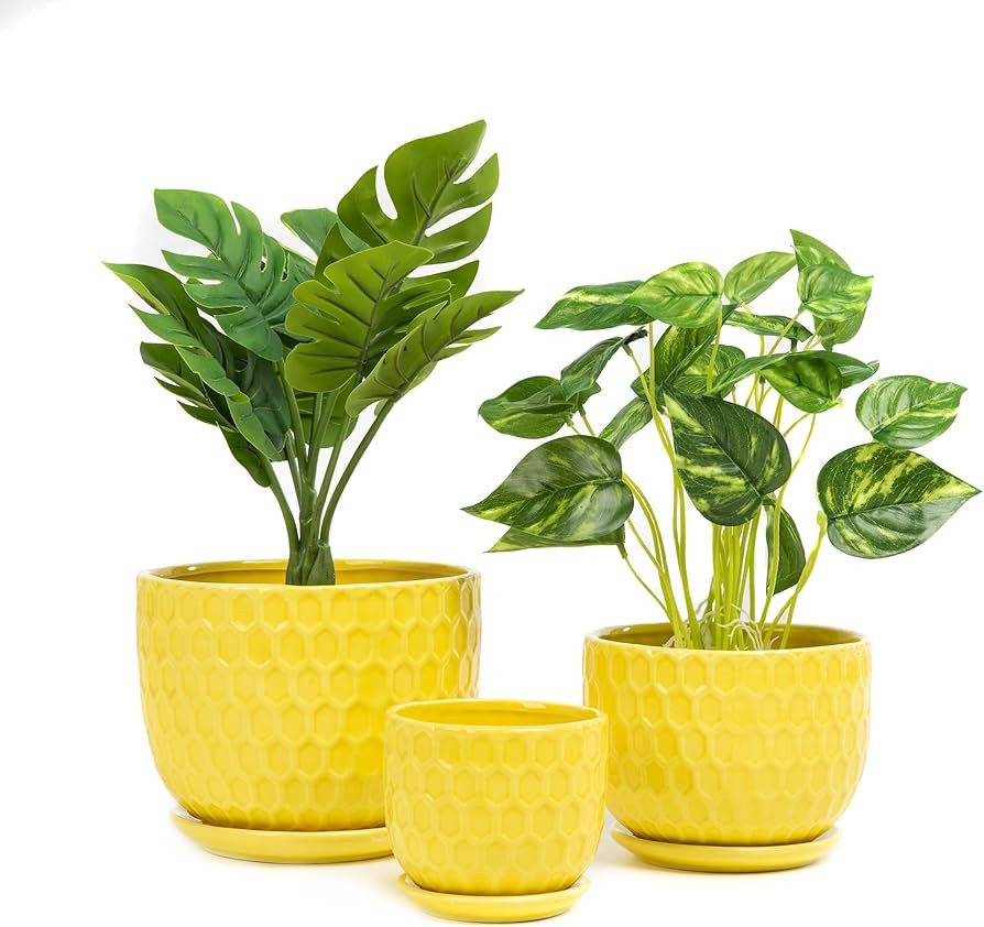 Yellow Ceramic Flower Pots with Saucers, Modern Round Ceramic Succulent Plant Pots with Honeycomb... | Amazon (US)