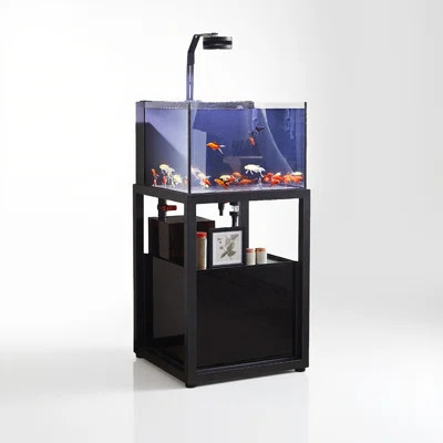 Industrial Style Small Aquarium Tank with Carbon Steel Stand | Wayfair North America