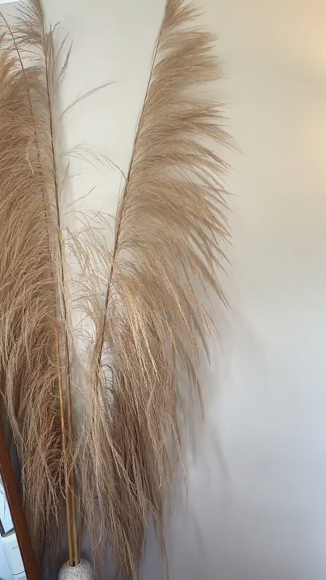 Fall outfit of the day 