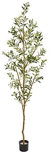 Amazon.com: Nearly Natural 82” Olive Artificial Silk Trees Green : Home & Kitchen | Amazon (US)