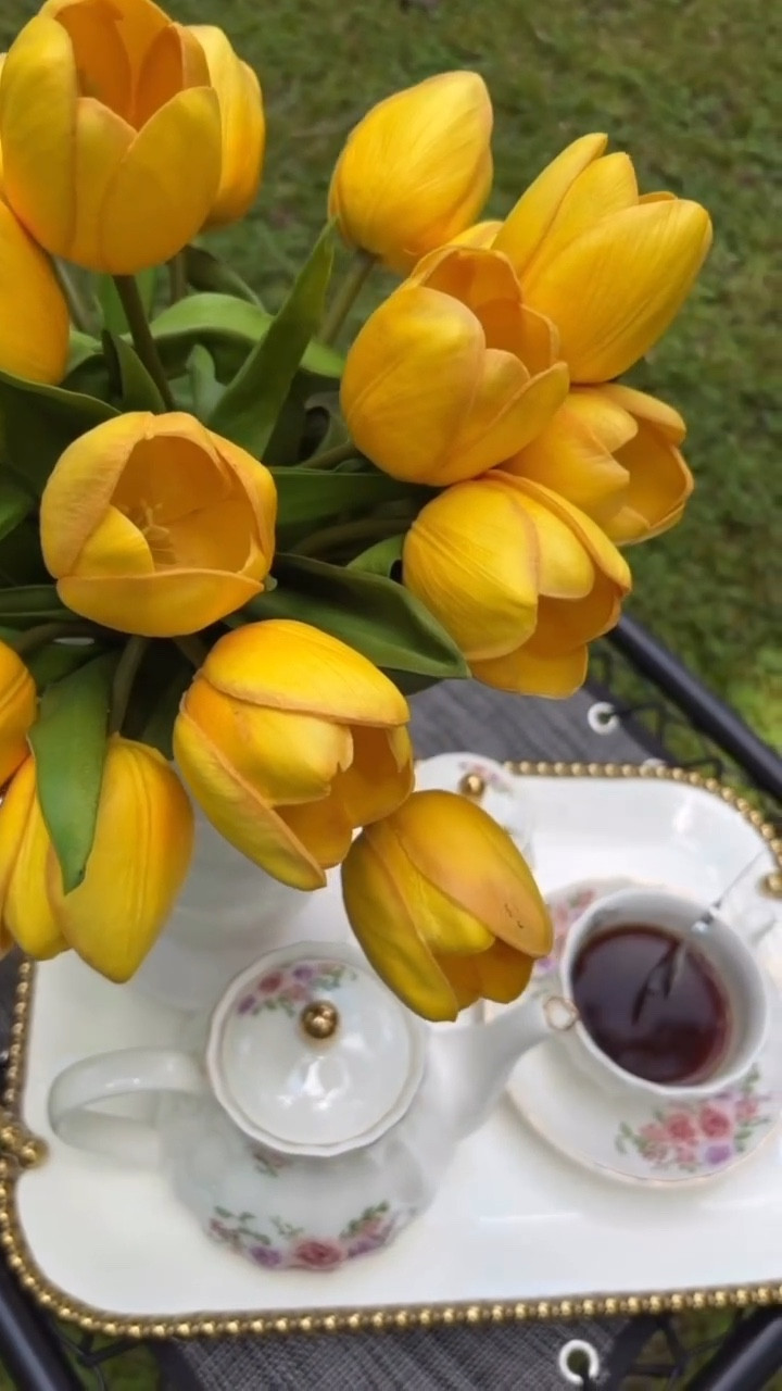 Juegos de té de porcelana de la serie Royal Británica, tazas de 8 onzas y servicio de platillos para 6, con tetera, azucarera, crema, cucharaditas y colador de té, adecuado para té oh café 

Sígueme para más inspiración @ugc_by_yamel 

#set #tea #coffee ##home #homedesign #homedecorideas #decoration #exterior #decoraexteriores #decora #motivacion #decoración #motiva #motivation #balcon #decoraprimavera #primavera #sweetjar