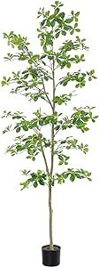 Faux Black Olive Tree 7ft, Tall Faux Trees Indoor with Natural Trunk and Realistic Leaves. 7 Feet... | Amazon (US)