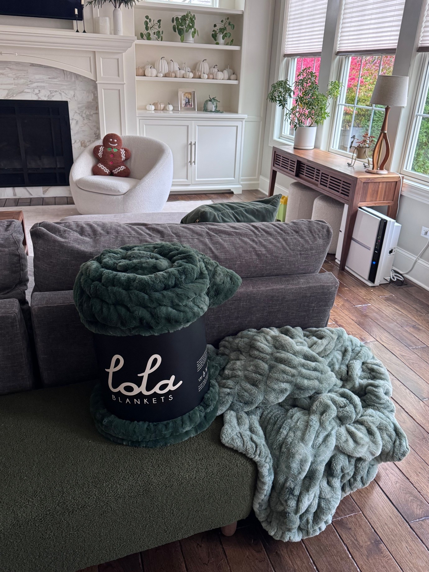 The best gift for anyone on your list. We have two now (bought with our own money) and I bought three more for holiday gifts! Grab one while they’re on sale, you won’t regret it!

#LTKGiftGuide #LTKHome #LTKCyberWeek