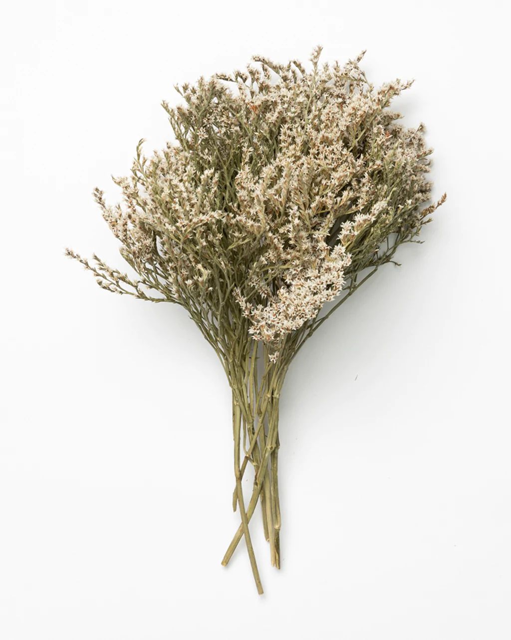 Dried Statice Flowers | McGee & Co.