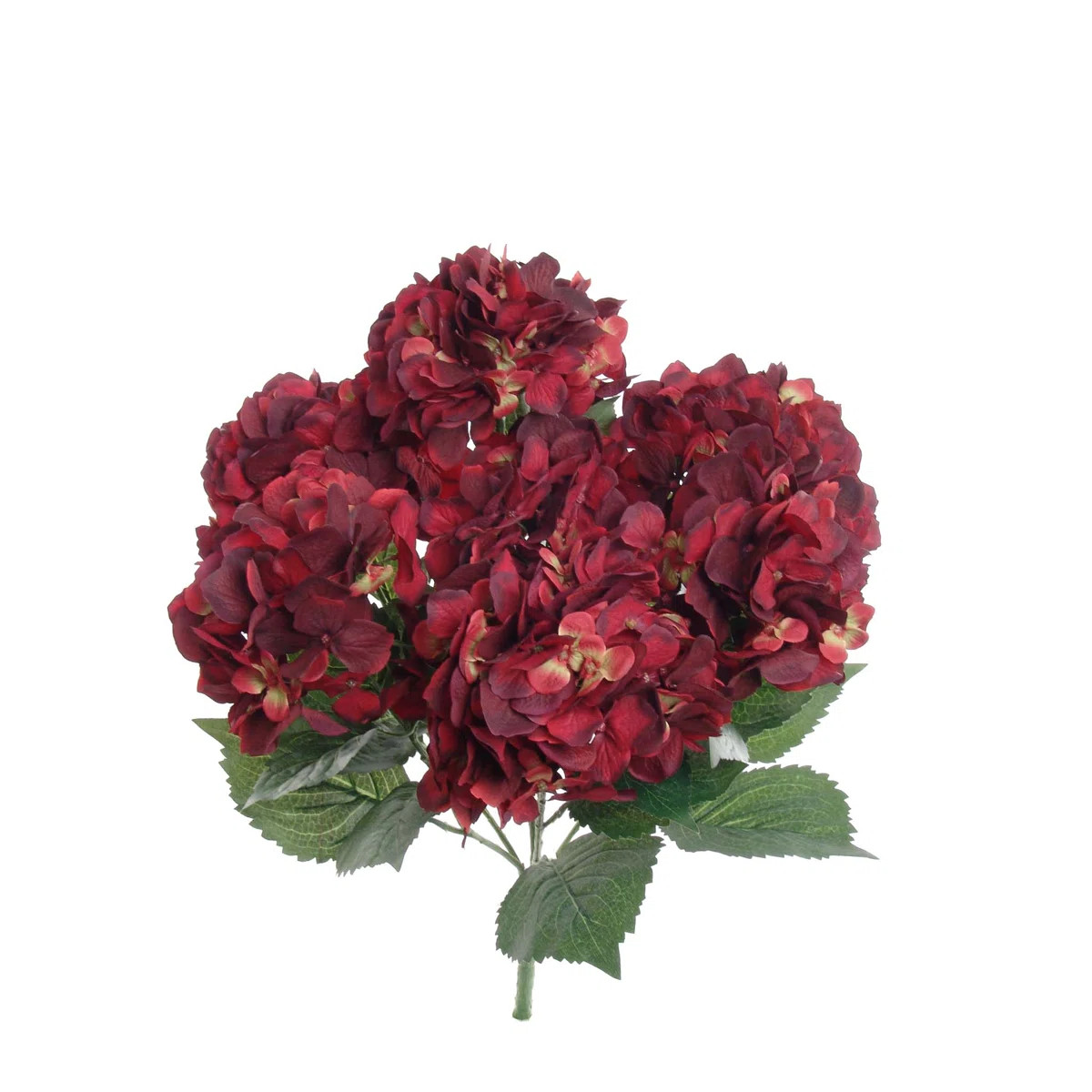 Hydrangea Bush | Wayfair North America