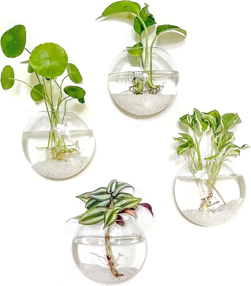 Kingbuy Wall Hanging Glass Planters Oblate Globe Propagation Station Wall-Mounted Flower Vases Pe... | Amazon (US)