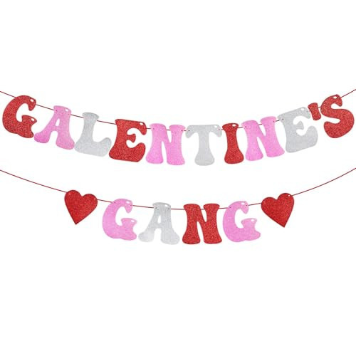 Galentine’s Banners, Happy Galentine’s Day Decorations, Galentines Glittery Sign with Pink Red Heart Garlands Banner for Ladies Girls Party Supplies (GALENTINE’S GANG-Red Pink Silver) | Amazon (US)