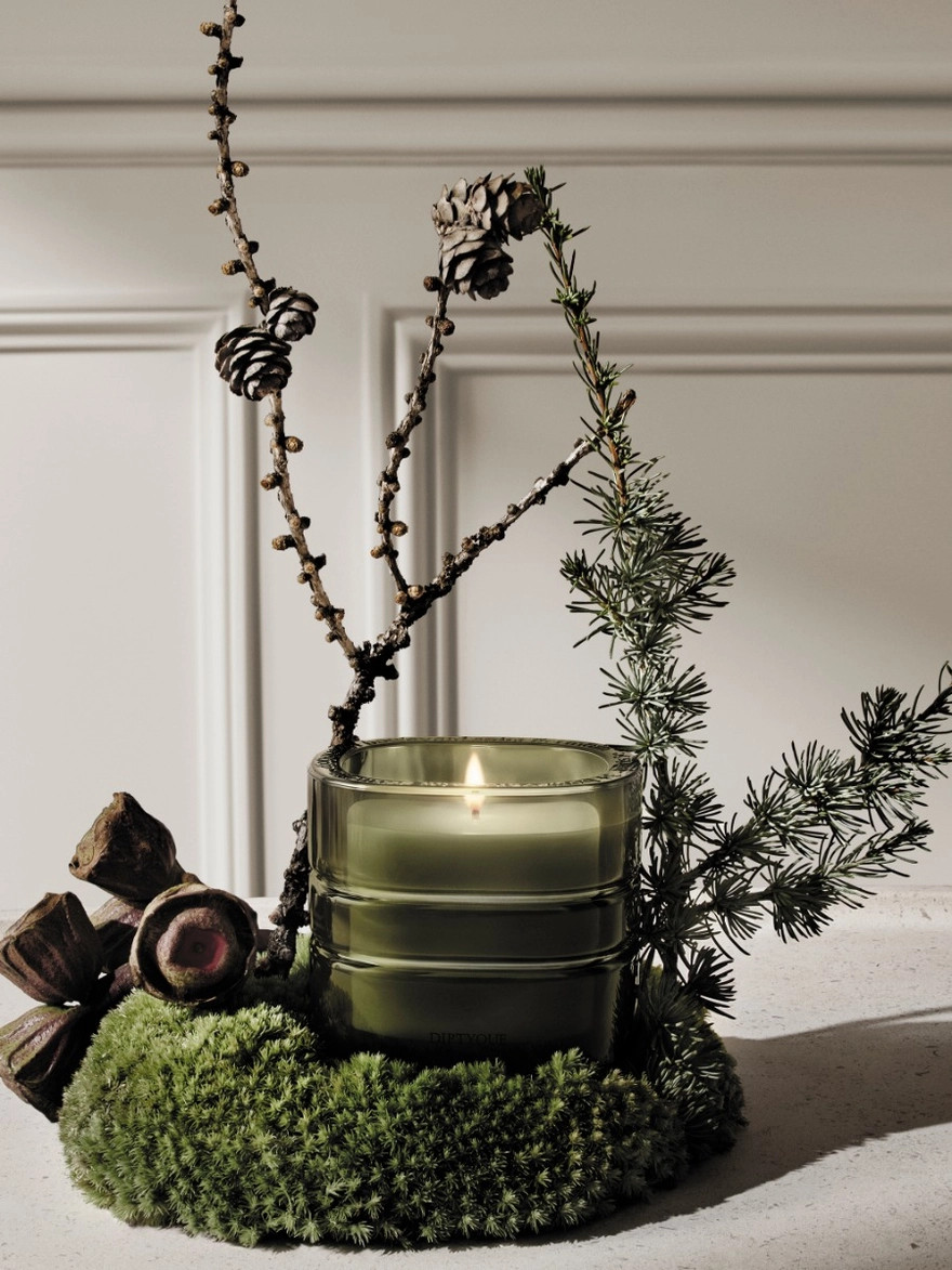 Temple des Mousses (Moss Temple)
              Refillable Candle | diptyque (US)