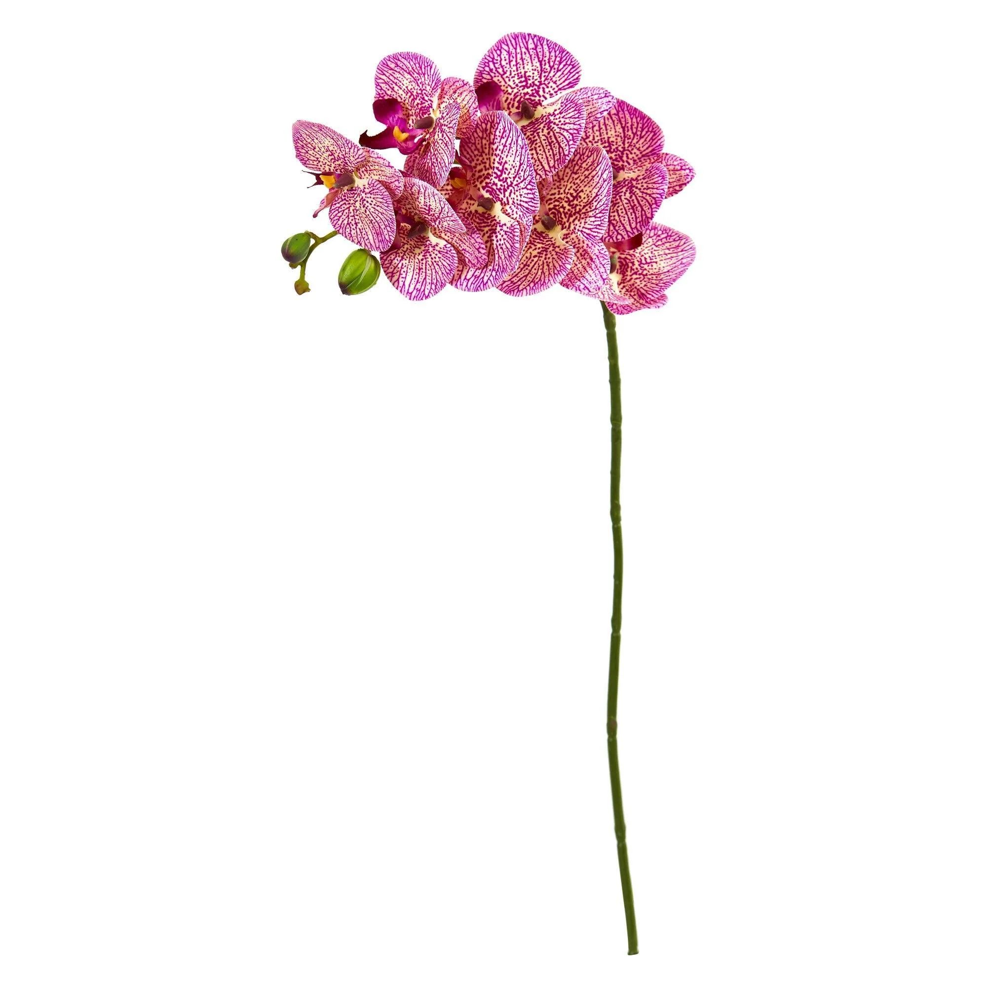 28” Orchid Phalaenopsis Artificial Flower Stem (Set of 6) 2269-S6 Nearly Natural | Nearly Natural