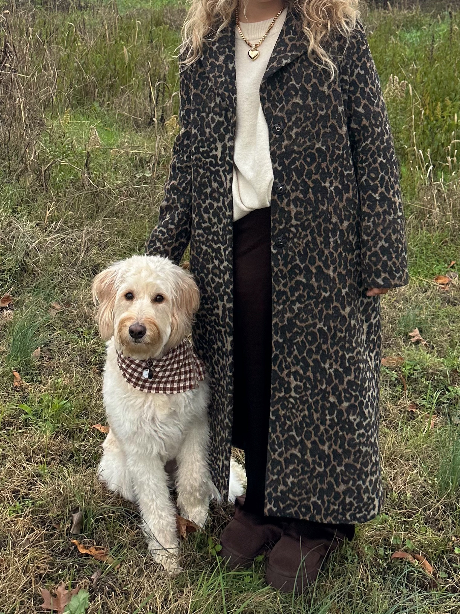 cheetah print moment ✨✨

#LTKGiftGuide #LTKSeasonal #LTKFindsUnder50