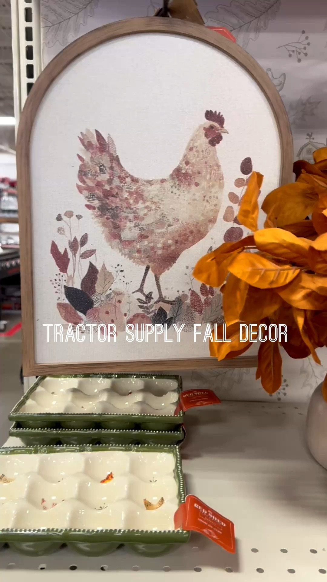 Fall decor at Tractor Supply - so many cute things for chicken lovers!

#LTKSeasonal #LTKHome #LTKSaleAlert