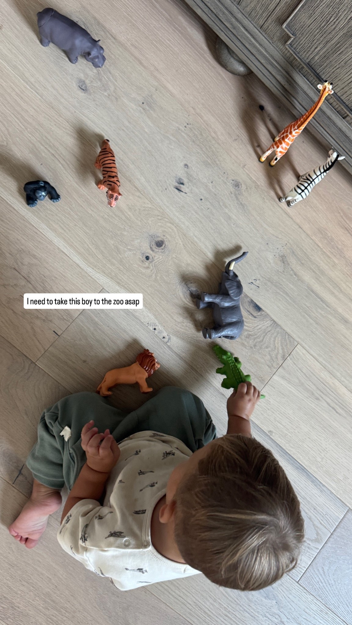 Baby toddler toys-
Amazon- Learning Minds Set of 8 Jumbo Safari Animals Figures - Zoo Animals for Toddlers 1-3 - Jungle Animals Figures - Toy Animals for Kids Age 18 Months 1,2,3 Years Old

#LTKBaby #LTKBump #LTKKids