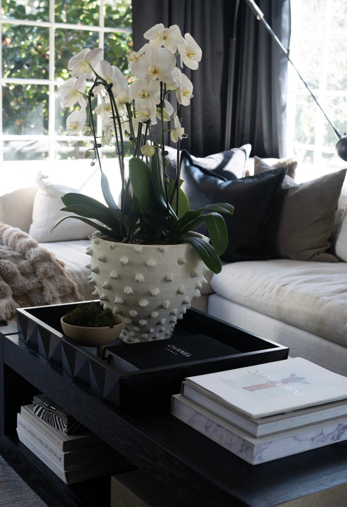 Iconic pieces don’t have to scream — they just show up and steal the scene.

These Wayfair finds are giving designer-level drama in the best way: sculptural silhouettes, bold contrast, rich texture, and that “where did you GET that?!” energy. The kind of decor that makes a room feel calm… but unforgettable.

#ad #wayfair #wayfairpartner @wayfair


#LTKHome #LTKdayinmylife #LTKmomlife